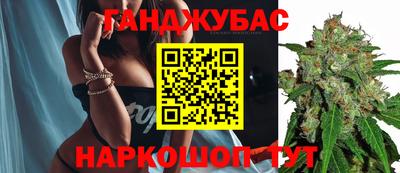 эйфоретик Тара