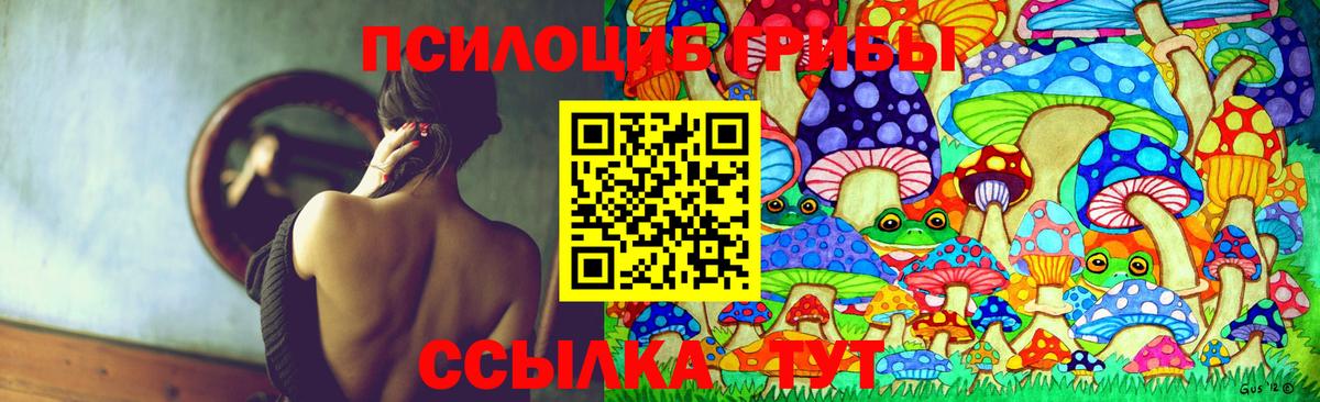 Галлюциногенные грибы Psilocybe Ликино-Дулёво