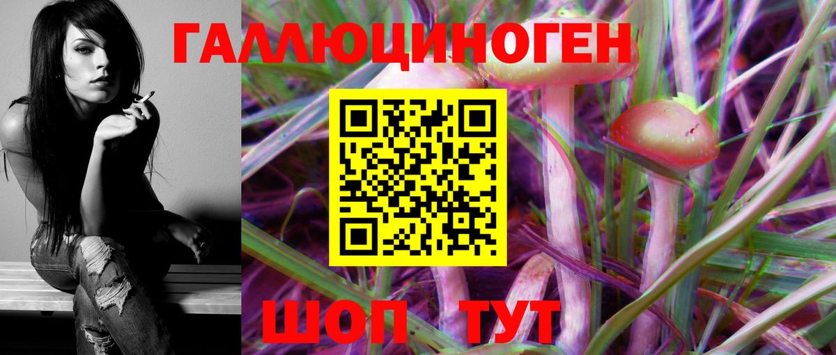 Галлюциногенные грибы MAGIC MUSHROOMS  Вход с VPN  Ликино-Дулёво  Псилоцибиновые грибы Psilocybe 